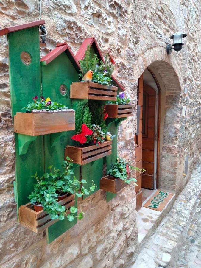 Dimora San Severino Spello Esterno foto